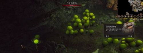 《博德之门3》蘑菇猎人任务攻略及流程
