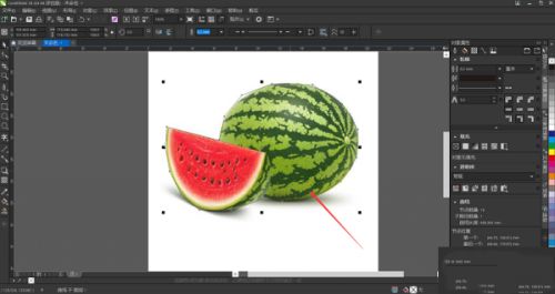 CorelDRAW Graphics Suite怎么抠图？CorelDRAW抠图技巧