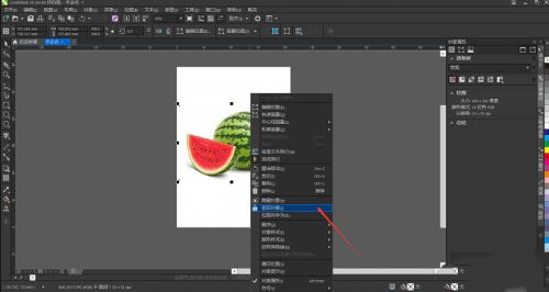 CorelDRAW Graphics Suite怎么抠图？CorelDRAW抠图技巧